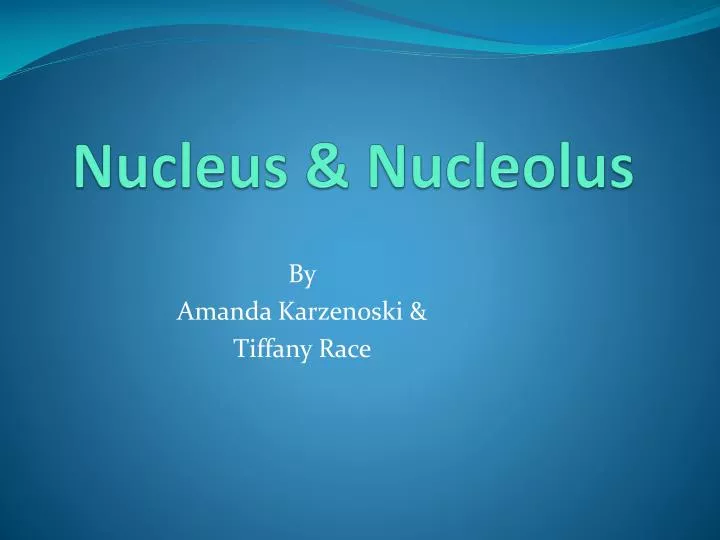 nucleus nucleolus