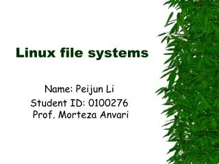 Linux file systems
