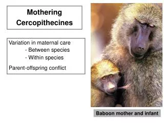 Variation in maternal care 	- Between species 	- Within species Parent-offspring conflict