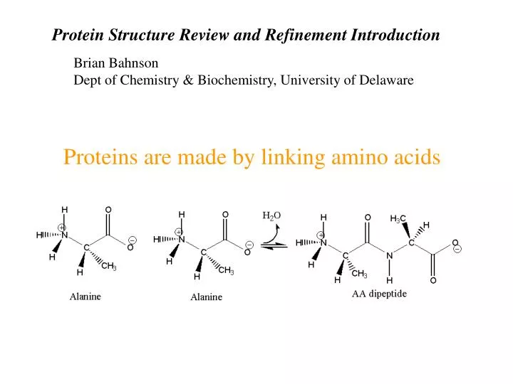 proteins are made by linking amino acids