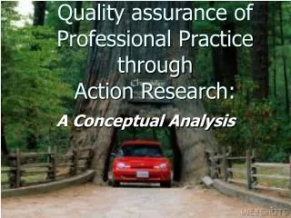 Quality assurance of Professional Practice through Action Research: