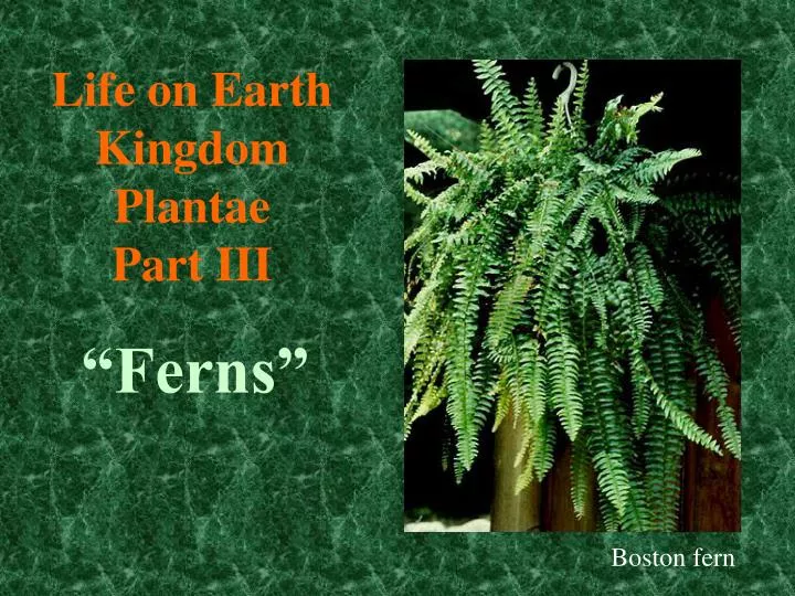 life on earth kingdom plantae part iii