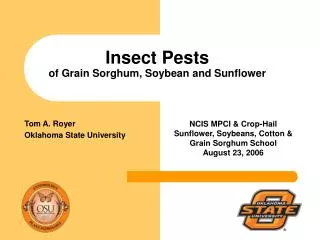 Insect Pests of Grain Sorghum, Soybean and Sunflower