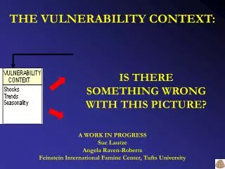 THE VULNERABILITY CONTEXT: