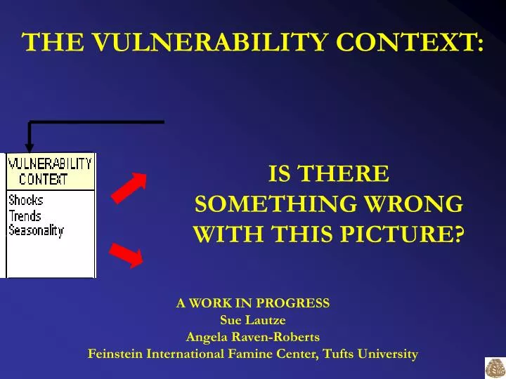 the vulnerability context