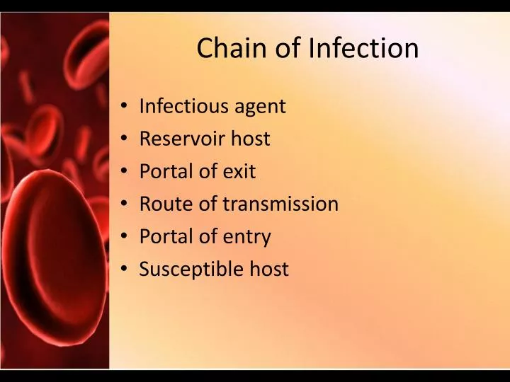 chain of infection