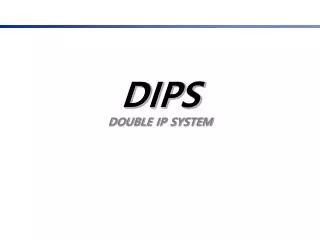 dips double ip system