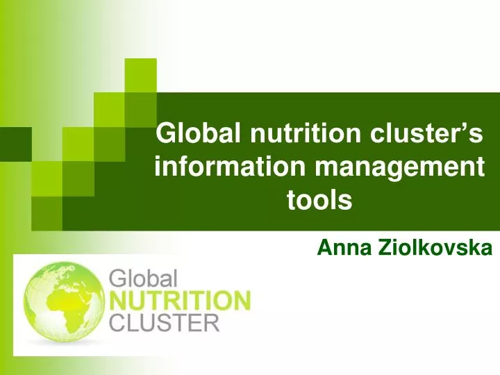 global nutrition cluster s information management tools