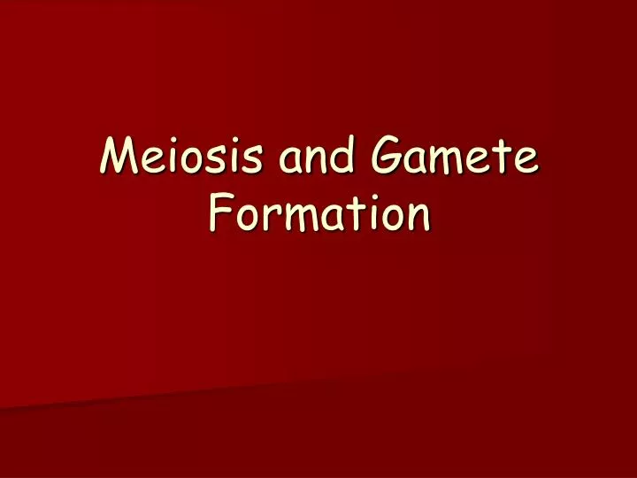 meiosis and gamete formation