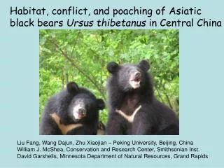 Habitat, conflict, and poaching of Asiatic black bears Ursus thibetanus in Central China