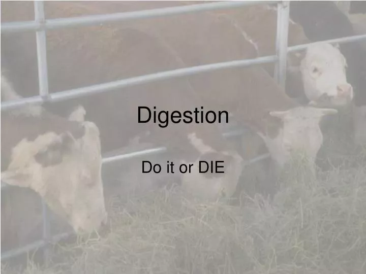 digestion