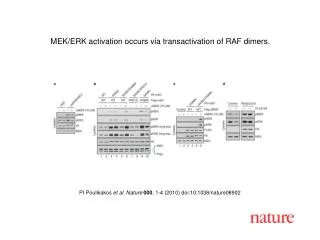 PI Poulikakos et al. Nature 000 , 1-4 (2010) doi:10.1038/nature08902