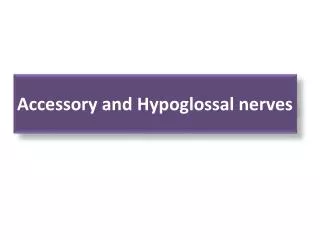Accessory and Hypoglossal nerves