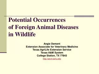 Potential Occurrences of Foreign Animal Diseases in Wildlife