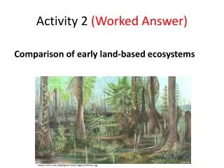 Activity 2 (Worked Answer)