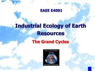 Industrial Ecology of Earth Resources