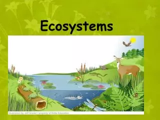 Ecosystems