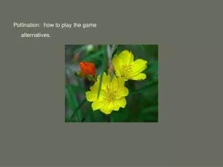 Pollination: how to play the game alternatives.
