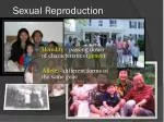 Sexual Reproduction
