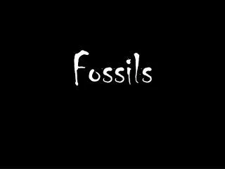 Fossils