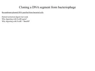 Cloning a DNA segment from bacteriophage
