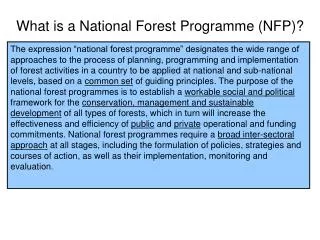 What is a National Forest Programme (NFP)?
