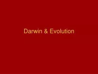 Darwin &amp; Evolution