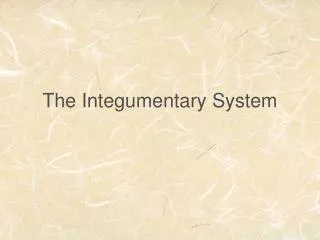 The Integumentary System