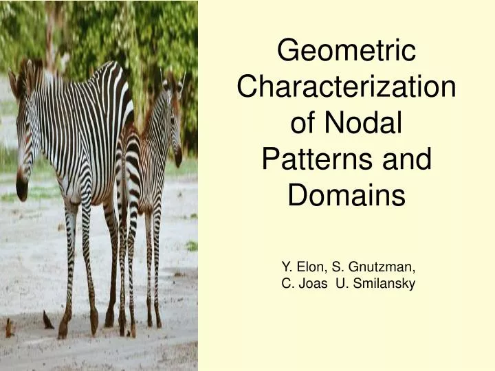 geometric characterization of nodal patterns and domains