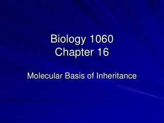 Biology 1060 Chapter 16