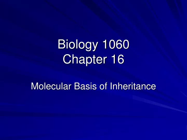biology 1060 chapter 16