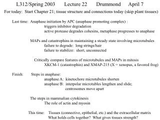 L312/Spring 2003	Lecture 22	Drummond 	April 7