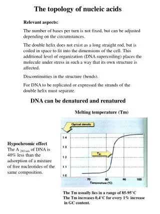 DNA can be denatured and renatured