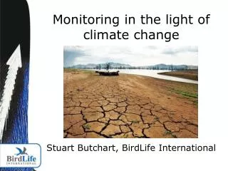 Monitoring in the light of climate change Stuart Butchart, BirdLife International