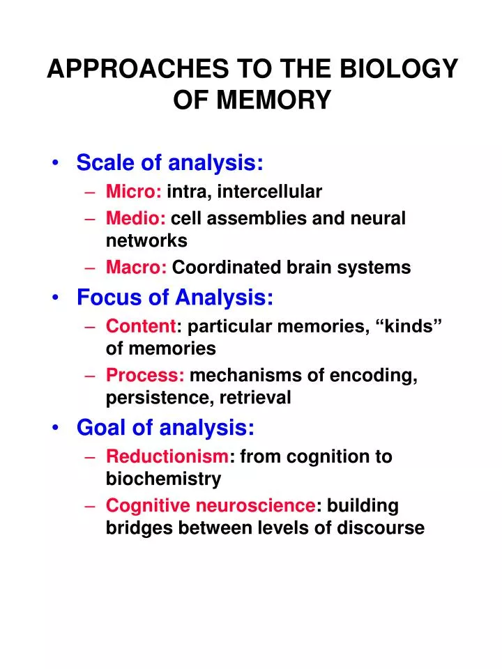 approaches to the biology of memory