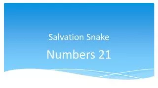 Salvation Snake