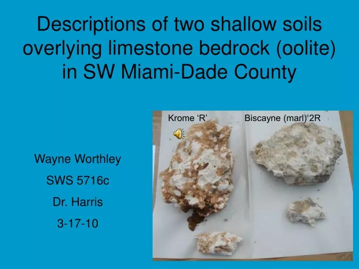 descriptions of two shallow soils overlying limestone bedrock oolite in sw miami dade county