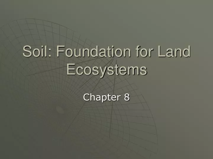 soil foundation for land ecosystems