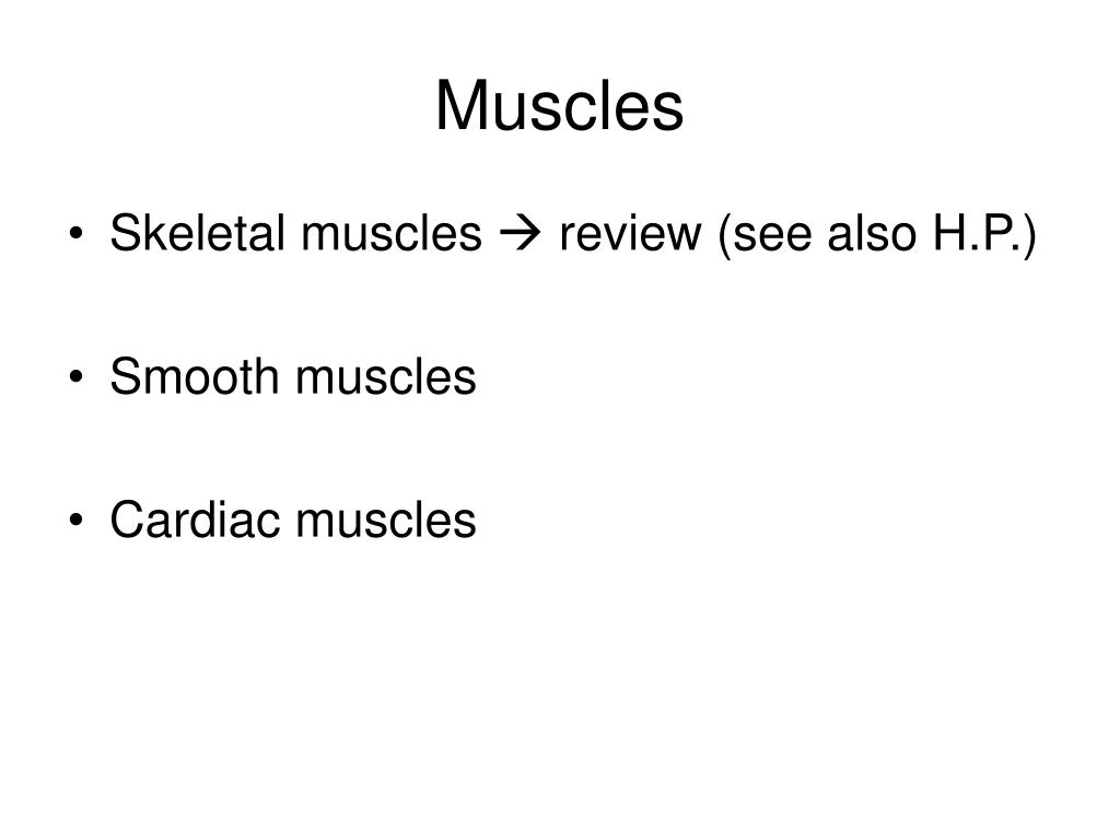 PPT - Muscles PowerPoint Presentation, free download - ID:1825555