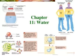 Chapter 11: Water