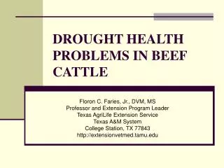 DROUGHT HEALTH PROBLEMS IN BEEF CATTLE