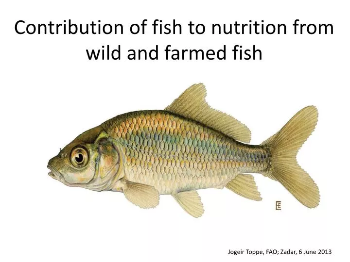 contribution of fish to nutrition from wild and farmed fish