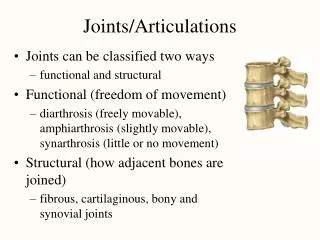 Joints/Articulations