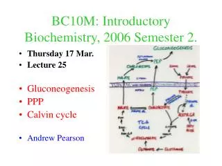 BC10M: Introductory Biochemistry, 2006 Semester 2.