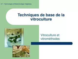 techniques de base de la vitroculture