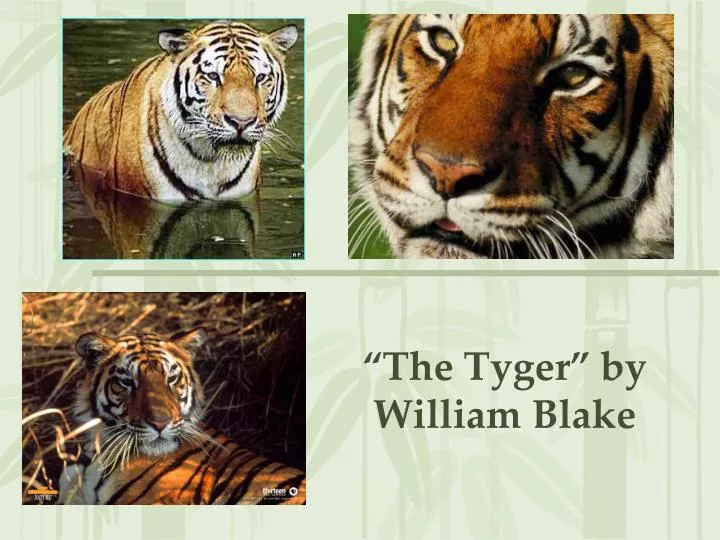 the tyger by william blake