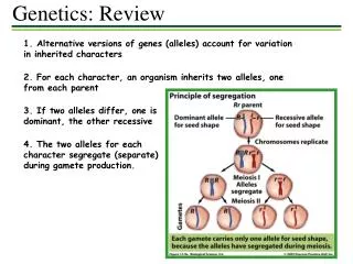 1. Alternative versions of genes (alleles) account for variation in inherited characters