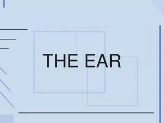 THE EAR
