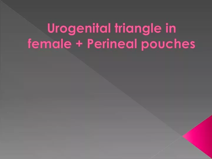 urogenital triangle in female perineal pouches