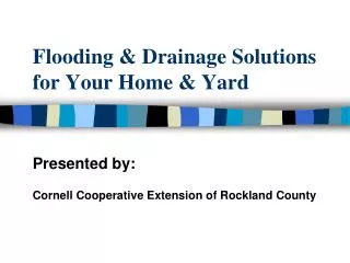 Flooding &amp; Drainage Solutions for Your Home &amp; Yard